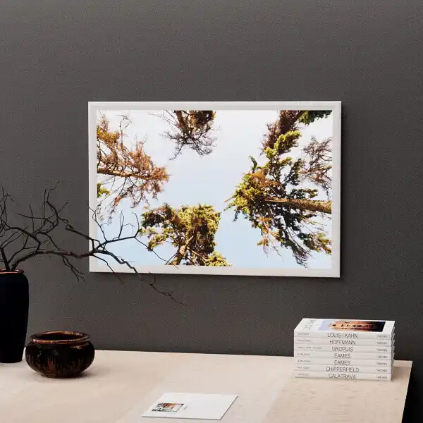 LIS A1U Snap Frame LED Light Box - Indoor Wall Mounted